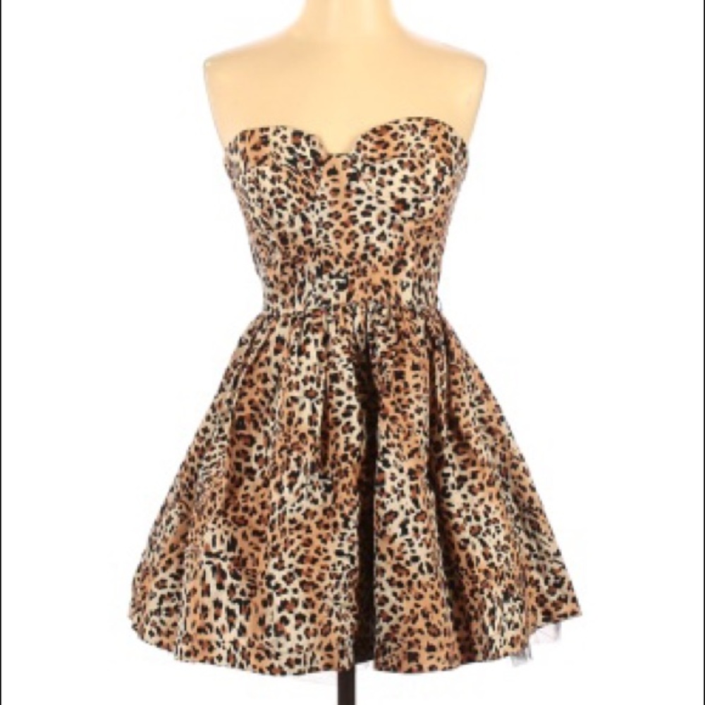 Cheetah Print Part Dress